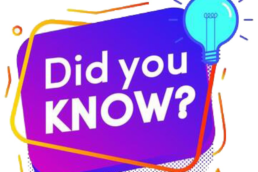 The human brain generates enough electricity to power a small light bulb.