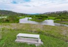 Discover Serenity: Nyandungu Wetland Eco Park, Rwanda's Hidden Gem