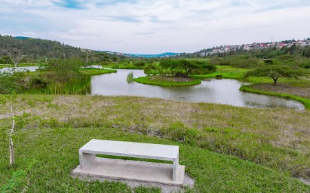 Discover Serenity: Nyandungu Wetland Eco Park, Rwanda's Hidden Gem