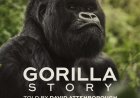 Netflix Releases Rwanda’s Gorilla Story