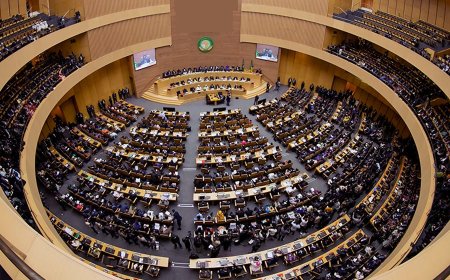 African Union Struggles with Implementation as Development Goals Stall