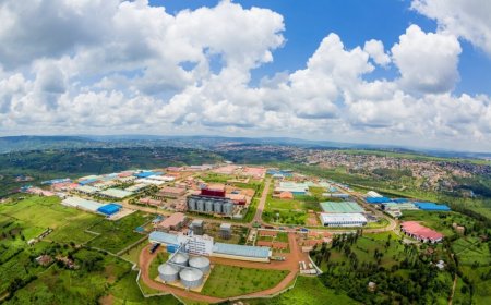 Rwanda’s Industrial Boom: Fueling Growth Amid Rising Costs, Energy and Mining Drive a 14% Surge in Industrial Prices