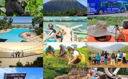 Planning to Visit Rwanda? Don’t Wing It: Why Timing and Structure Are Everything for Your Rwanda Trip