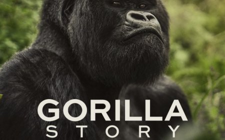 Netflix Releases Rwanda’s Gorilla Story