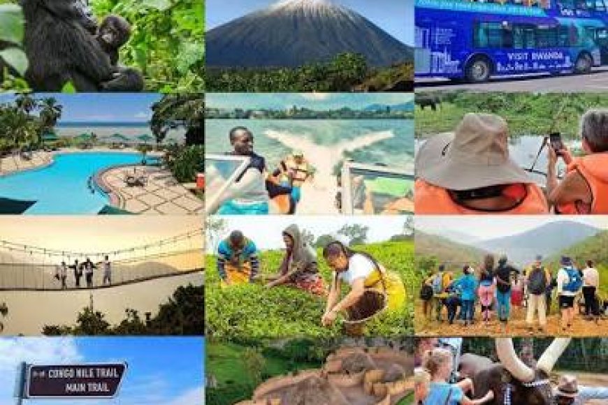 Planning to Visit Rwanda? Don’t Wing It: Why Timing and Structure Are Everything for Your Rwanda Trip