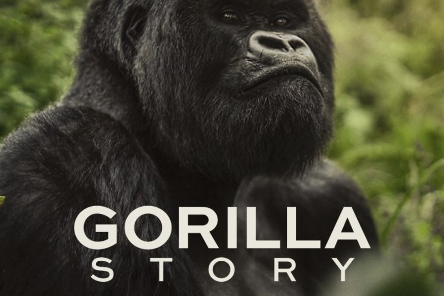 Netflix Releases Rwanda’s Gorilla Story