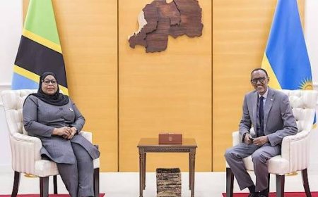 Tanzanian President to Host Rwandan Counterpart for Working Visit