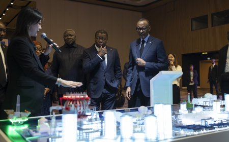 Nuclear Energy: The New Frontier for Africa’s Sustainable Growth