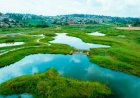 Kigali’s Five Urban Wetlands Near Completion as Rwanda Reaches 94% Progress on Restoration Project